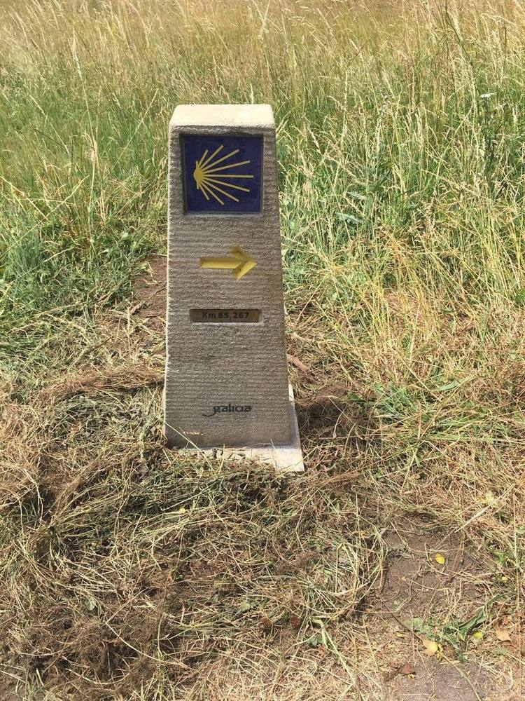 Jakobsweg-Marker in Galizien