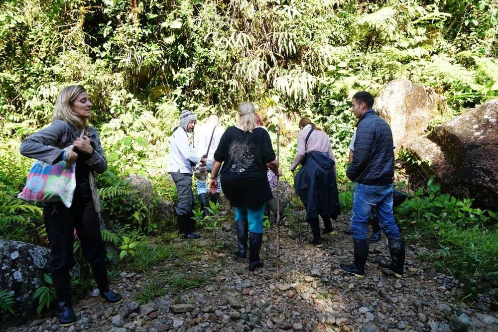 Spirituelle Reise — Wanderung im kolumbianischen Regenwald